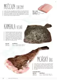 Jip leták Strana 19