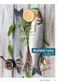 Jip leták Strana 36