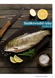 Jip leták Strana 42