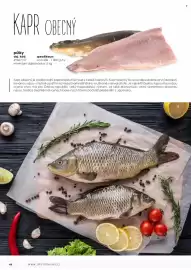 Jip leták Strana 45