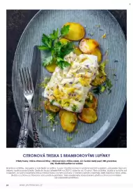 Jip leták Strana 65