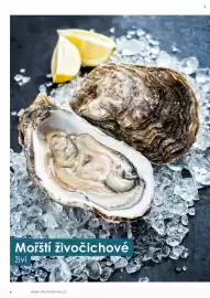 Jip leták Strana 7