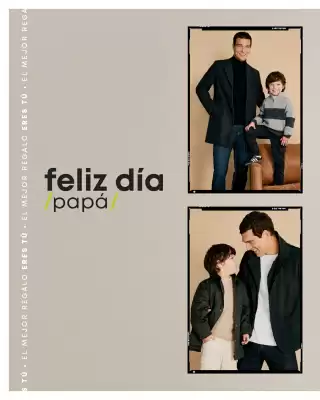 Falabella (válido hasta 21-06)