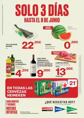 Catálogo El Corte Inglés (válido hasta el 8-06)