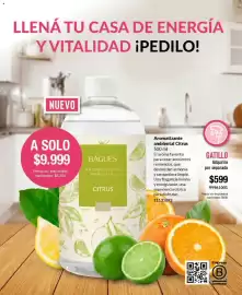 Catálogo Bagués Página 100