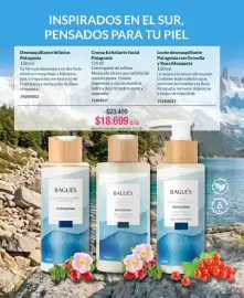 Catálogo Bagués Página 12