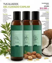 Catálogo Bagués Página 27