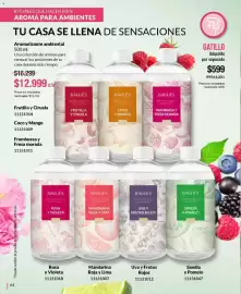 Catálogo Bagués Página 64