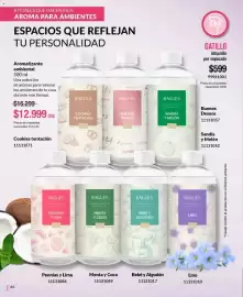 Catálogo Bagués Página 66