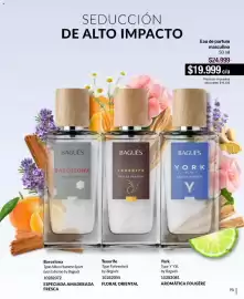 Catálogo Bagués Página 95