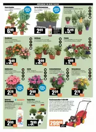 V Baumarkt Prospekt woche 24 Seite 2