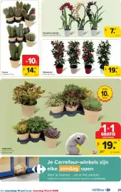 Carrefour folder Pagina 21