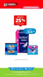 Folleto Farmacia San Pablo Página 8