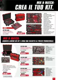 Volantino Einhell Pagina 21