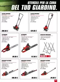 Volantino Einhell Pagina 29