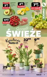 Netto gazetka tydzień 24 Strona 7