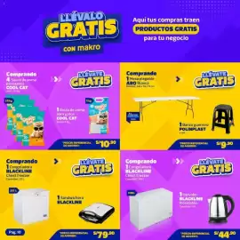 Catálogo Makro Página 10