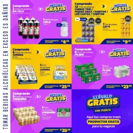 Catálogo Makro Página 11