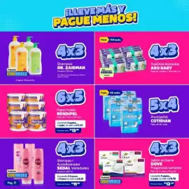 Catálogo Makro Página 17