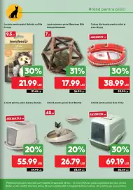Magazine Animax Pagină 13