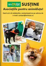 Magazine Animax Pagină 15