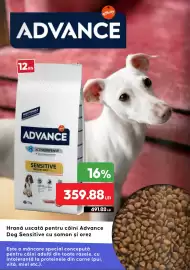 Magazine Animax Pagină 4