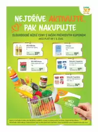 Globus leták týden 24 Strana 9