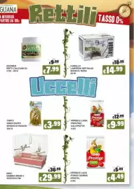 Volantino Zoomiguana Pagina 9