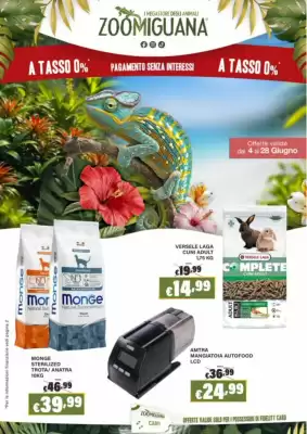 Zoomiguana (valido fino al 28-06)