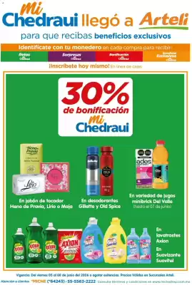 Folleto Arteli (válido hasta 9-06)
