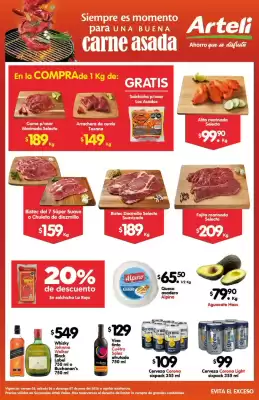 Folleto Arteli (válido hasta 8-06)