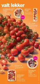 Albert Heijn folder week 24 Pagina 9