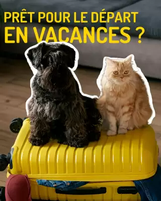 Catalogue Médor et Compagnie (valable jusqu'au 6-06)