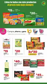 Folleto Bodega Aurrerá Página 3