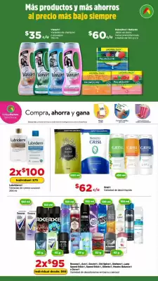 Folleto Bodega Aurrerá