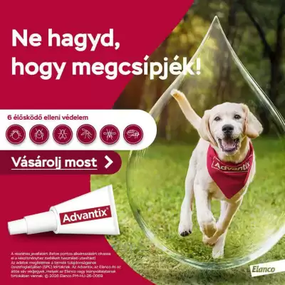 Alpha Zoo (érvényes eddig: 18-06)