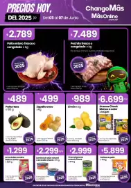 Catálogo Changomas Página 1