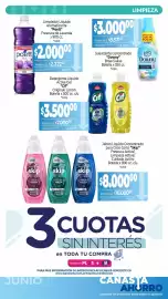 Catálogo La Anonima Página 11