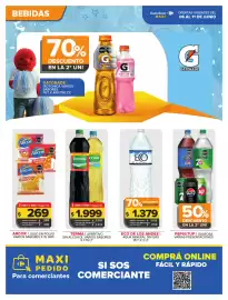 Folleto Carrefour Maxi semana 23 Página 2