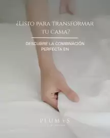 Catálogo Plumas Página 6