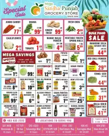 Mega Sanjha Punjab Grocery Store flyer week 23 Page 1
