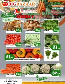 Big Bazaar Canada flyer week 23 Page 1