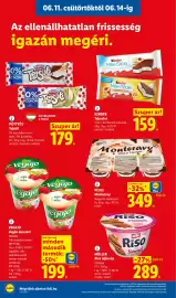Lidl akciós újság hét 24 Oldal 10