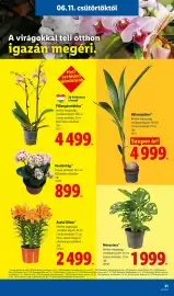 Lidl akciós újság hét 24 Oldal 21