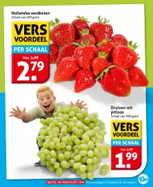 Hoogvliet folder week 24 Pagina 9