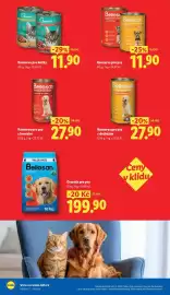 Lidl leták Strana 8