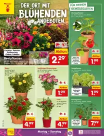 Netto Marken-Discount Prospekt woche 24 Seite 12