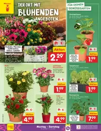 Netto Marken-Discount Prospekt woche 24 Seite 16
