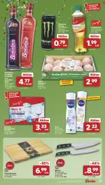 Famila Nord West Prospekt woche 24 Seite 17