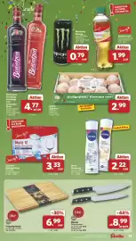 Famila Nord West Prospekt woche 24 Seite 17